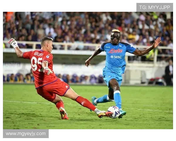 佛罗伦萨足球俱乐部的历史传承与未来发展潜力分析 佛罗伦萨足球俱乐部的历史传承与未来发展潜力分析