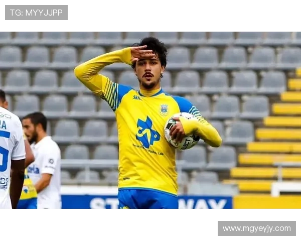 哈德斯菲尔德俱乐部崛起之路:从英冠到欧洲赛场的辉煌征程 哈德斯菲尔德俱乐部崛起之路:从英冠到欧洲赛场的辉煌征程