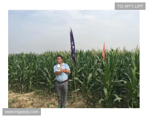 年轻黄蜂崛起之路探秘新星闪耀助力球队重塑辉煌征程