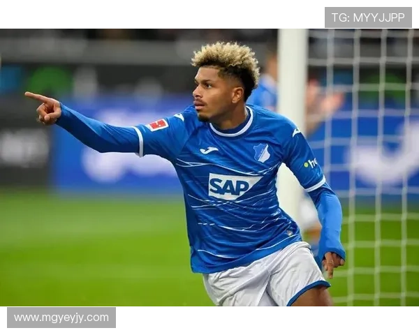 霍芬海姆1899足球俱乐部的历史、成就与未来发展展望